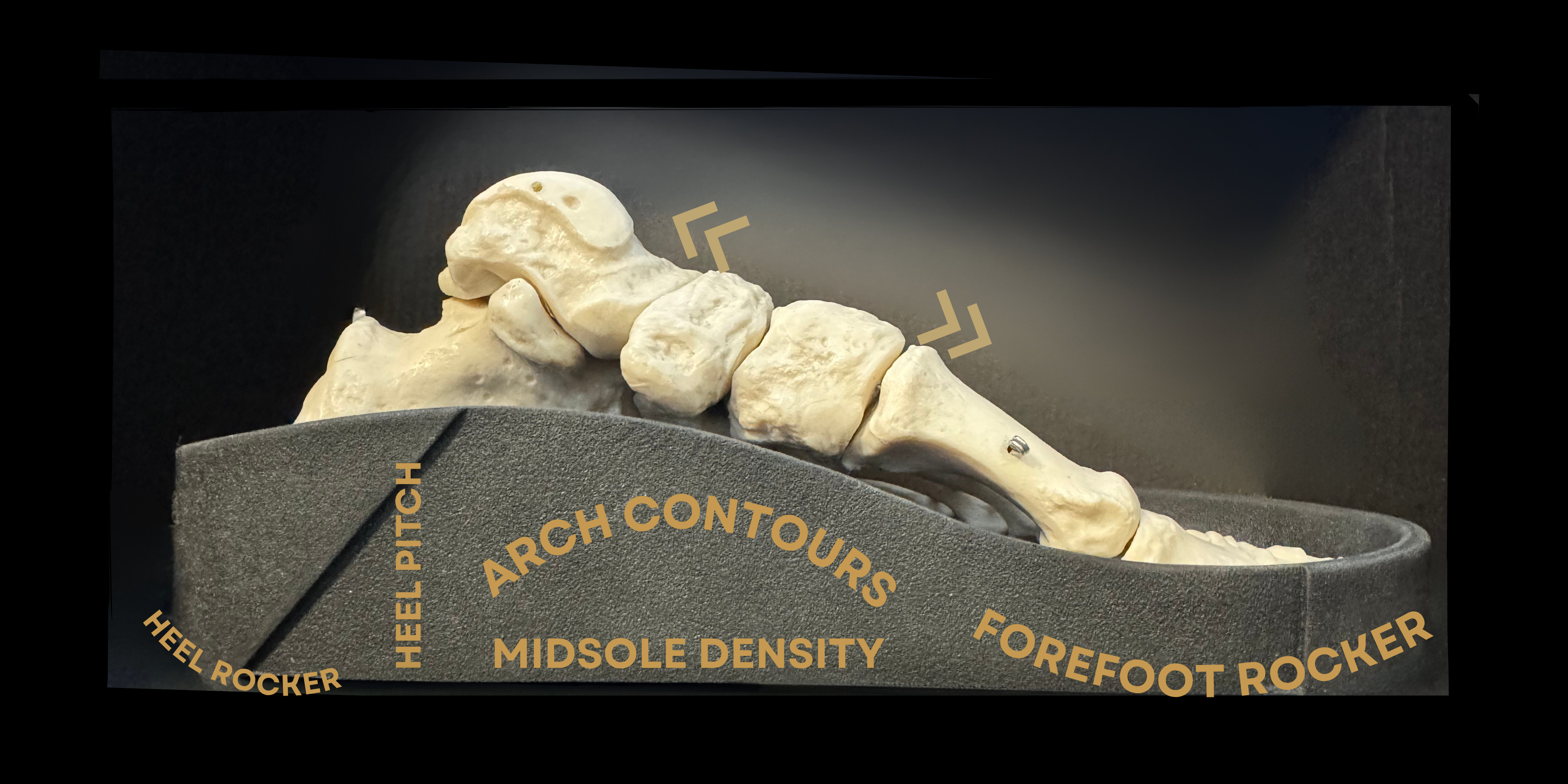 The Architecture of Foot Posture